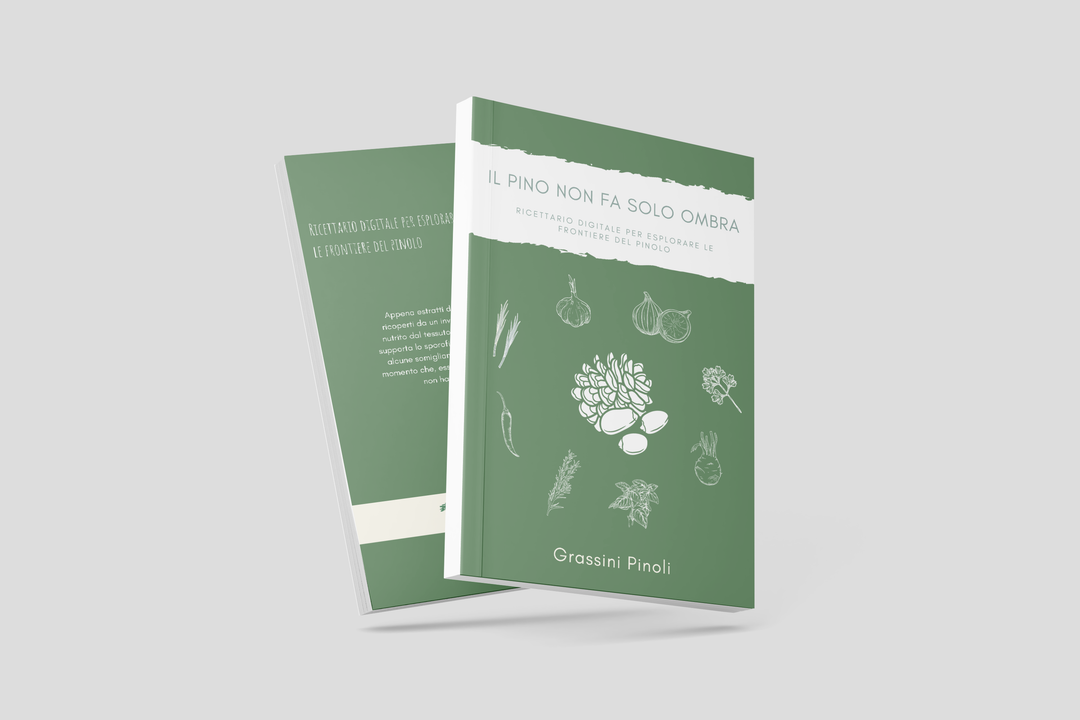 Il pino non fa solo ombra